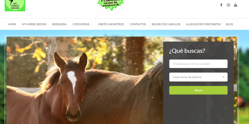 plataforma MyHorseGroom