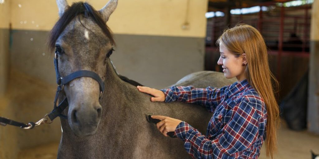 Tosatura del cavallo con i consigli di MHG