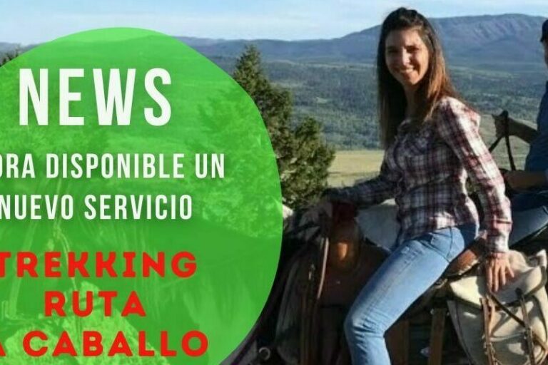 Paseos a caballo con MyHorseGroom