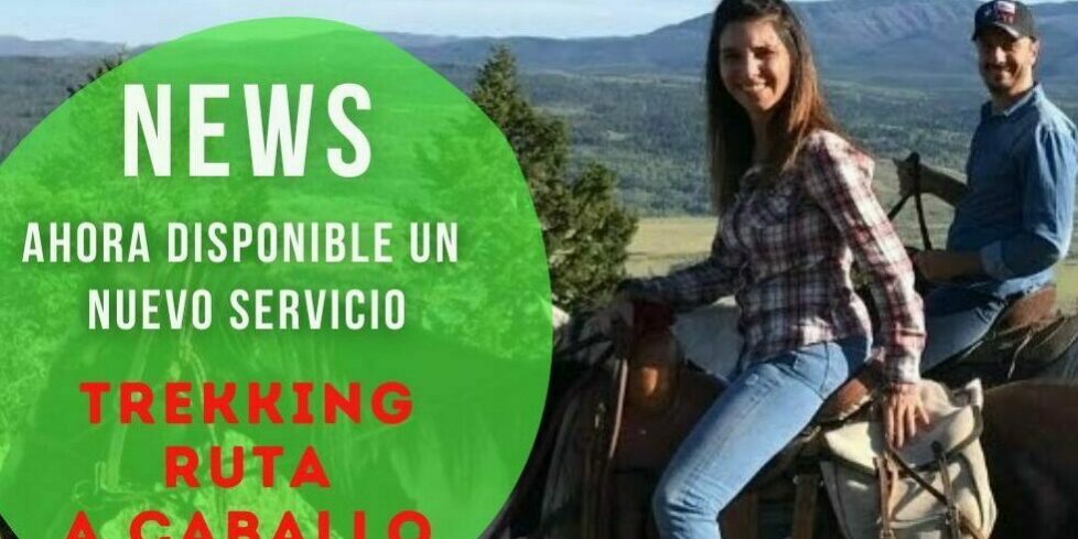 Paseos a caballo con MyHorseGroom