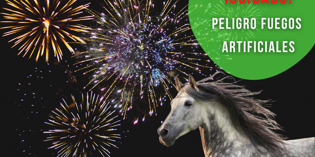 Peligro Fuegos artificiales MyHorseGroom aconseja precaución: peligro de fuegos artificiales