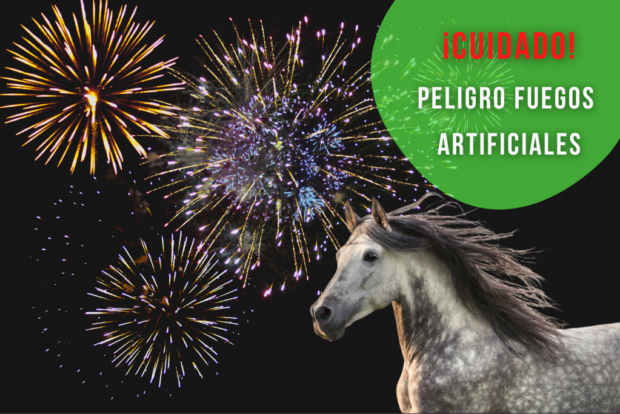 MyHorseGroom aconseja precaución: peligro de fuegos artificiales