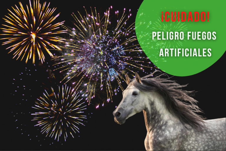 MyHorseGroom aconseja precaución: peligro de fuegos artificiales
