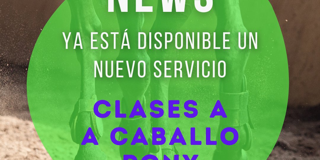 nuevo servicio de clases de equitación a caballo-poni