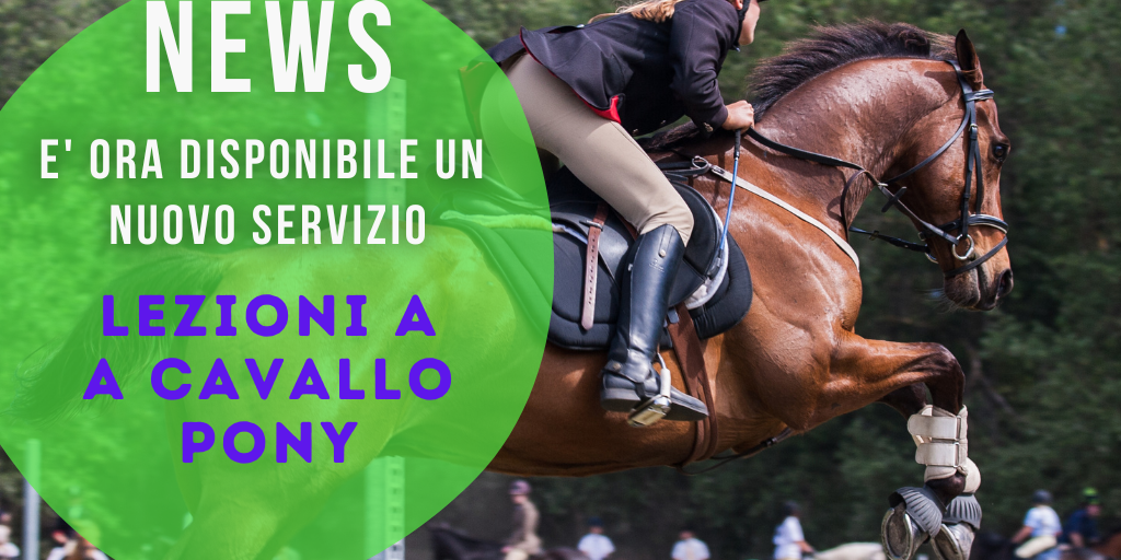 nuovo servizio lezioni a cavallo-pony