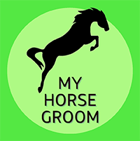 My Horse Groom